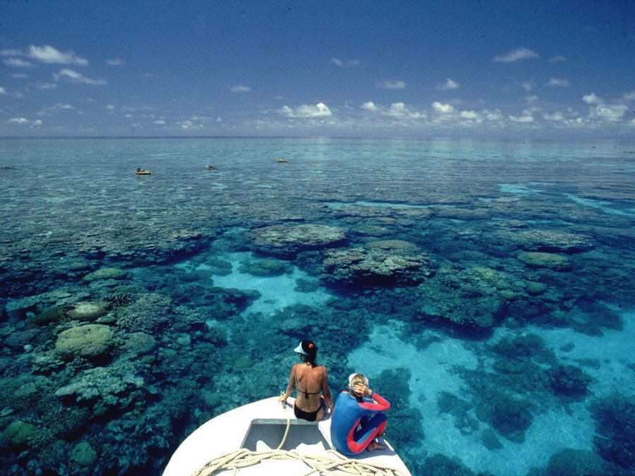 The Great Barrier Reef Gbr