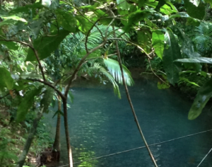 Cooper Creek, Cape York.  Photograph by Jen. June 2012