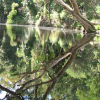 Open Thread Creek north of Byfield