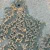 Open Thread crabs are real, homogenised data is not