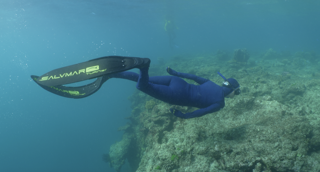 Davies Reef – Part 2, Central Great Barrier Reef, April 2024 - Jennifer ...
