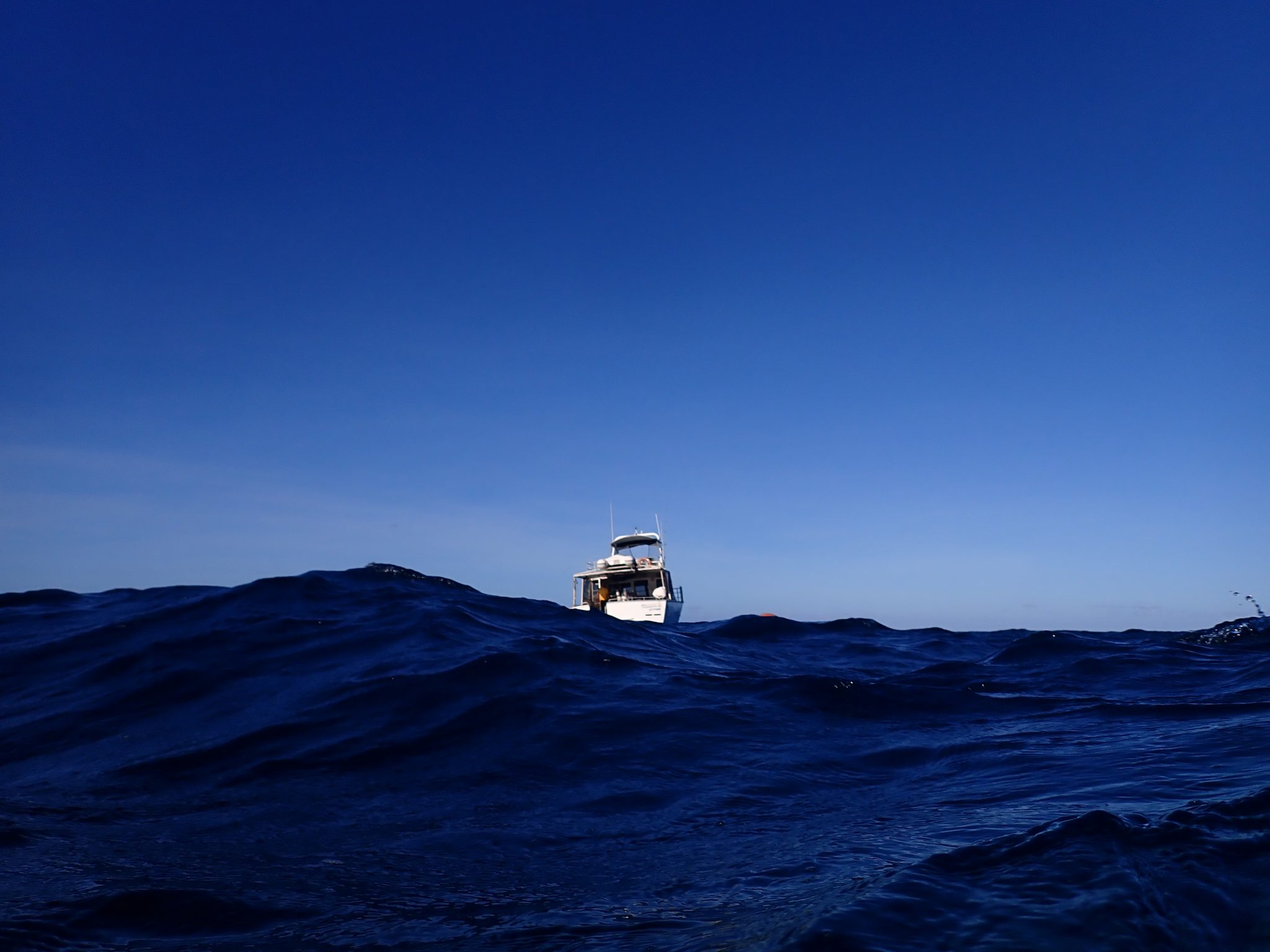 Davies Reef – Part 2, Central Great Barrier Reef, April 2024 - Jennifer ...